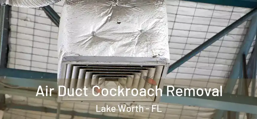  Air Duct Cockroach Removal Lake Worth - FL