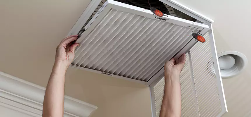 Preventive Cockroach-Proofing for Ducts in Lake Worth