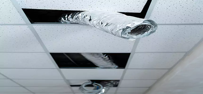 Our Air Duct Pet Hair Removal Services in Lake Worth, FL