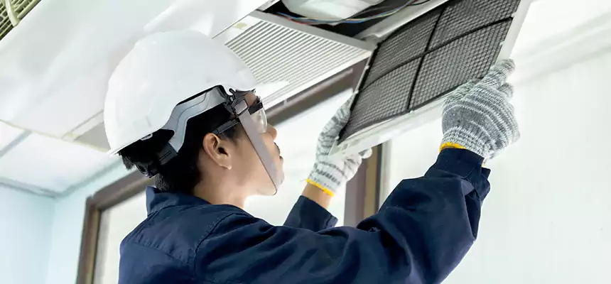 Our Mold & Mildew Removal from Air Ducts Services in Lake Worth, FL