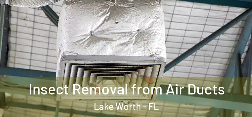 Insect Removal from Air Ducts Lake Worth - FL