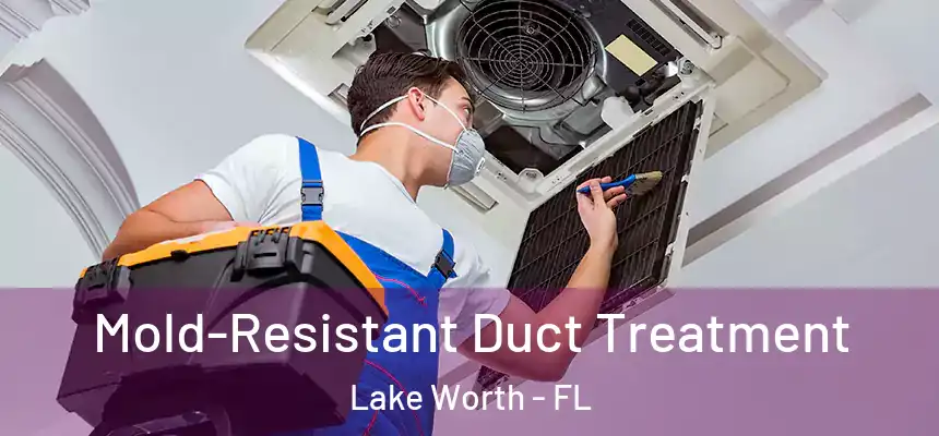  Mold-Resistant Duct Treatment Lake Worth - FL