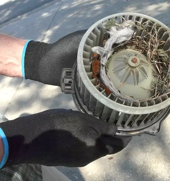 About Air Duct Mice Removal in Lake Worth, FL