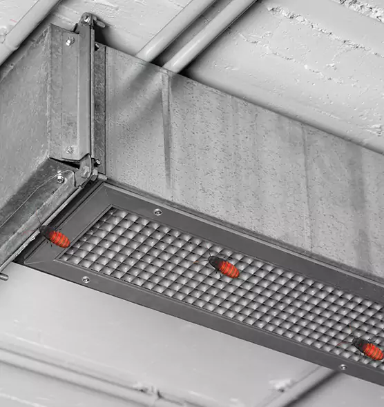 Affordable Insect Removal from Air Ducts in Lake Worth, FL