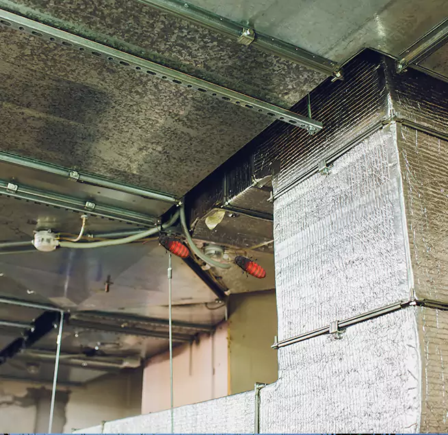 Why Homeowners & Businesses Trust Us in Lake Worth, FL?