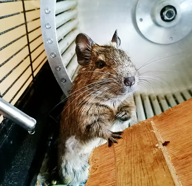 Why Homeowners & Businesses Trust Us Lake Worth, FL