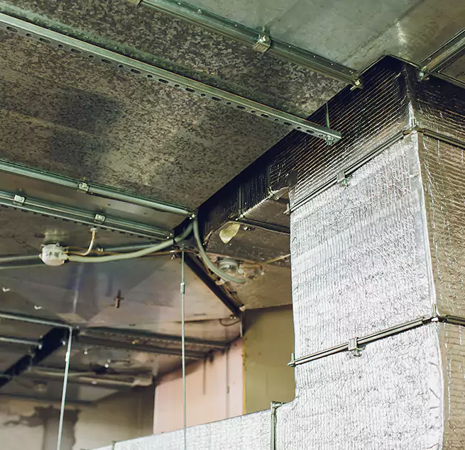 Why Homeowners & Businesses Trust Us in Lake Worth, FL?